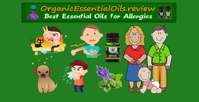 Essential Oil for Allergies