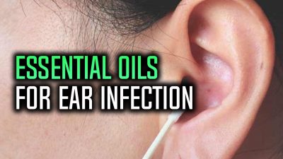lavender essential oil for ear infection