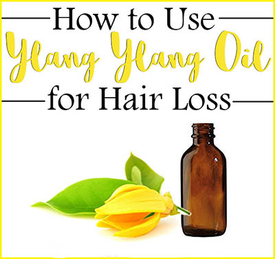 ylang ylang essential oil for hair loss